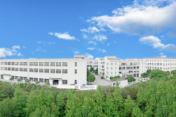 攜手同心、行而不輟，奔赴美好的2024